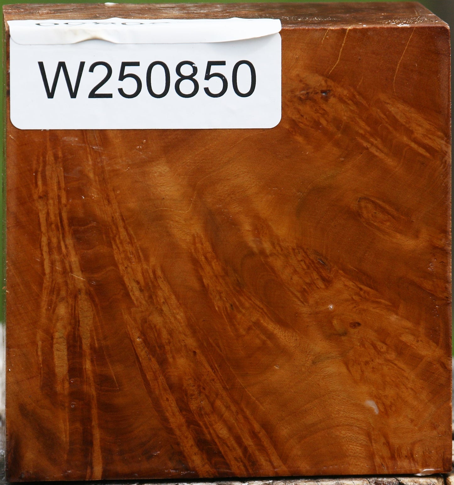 Hopea Stone Burl Bowl Blank