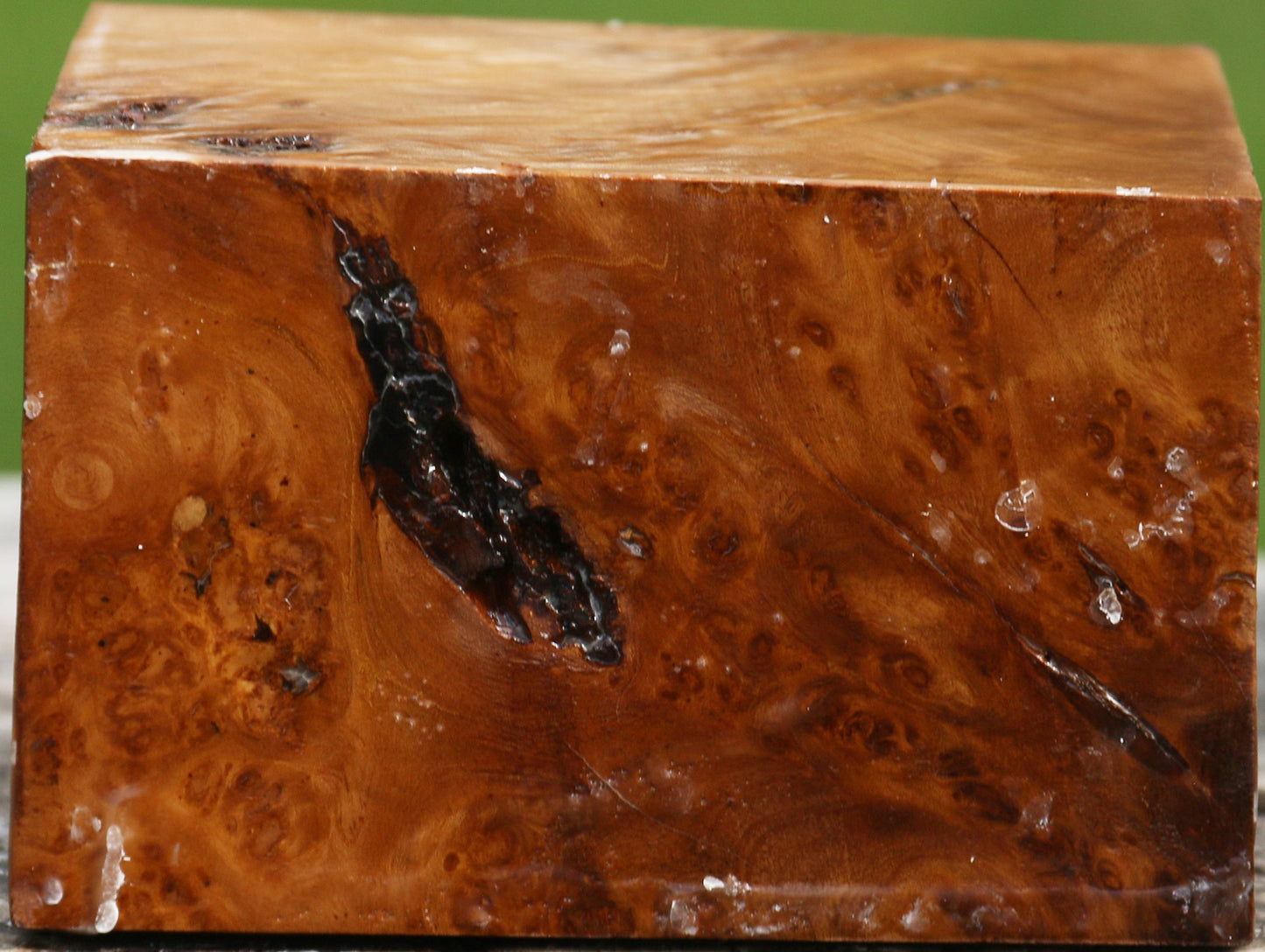 Hopea Stone Burl Bowl Blank