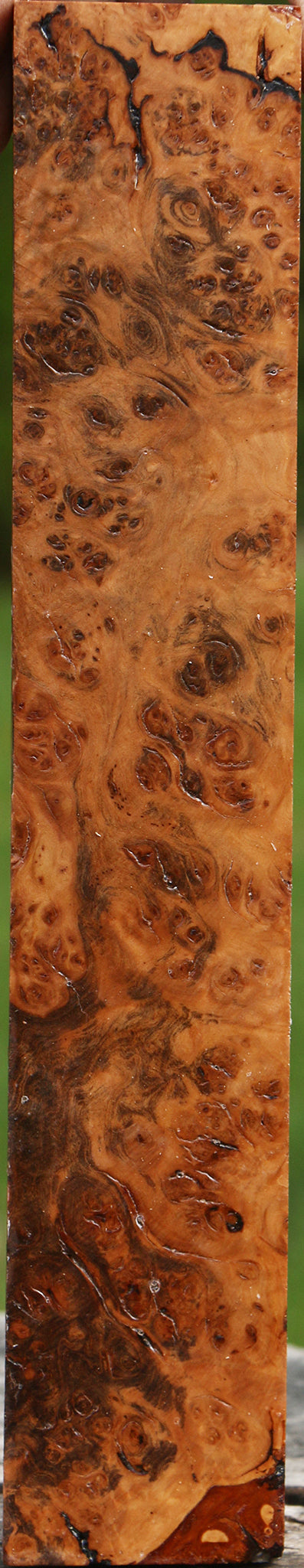 Rustic Hopea Stone Burl Turning Square