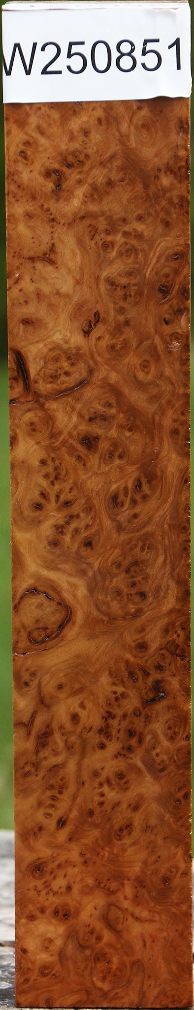 Rustic Hopea Stone Burl Turning Square