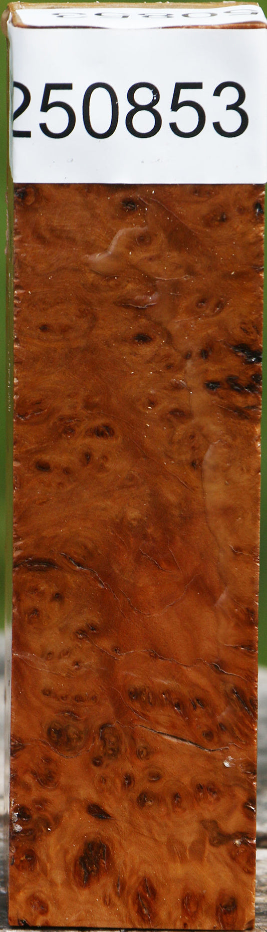 Hopea Stone Burl Turning Square