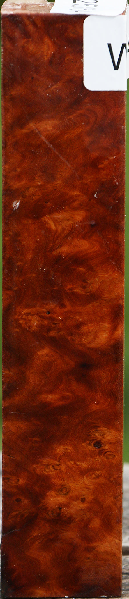 Hopea Stone Burl Turning Blank