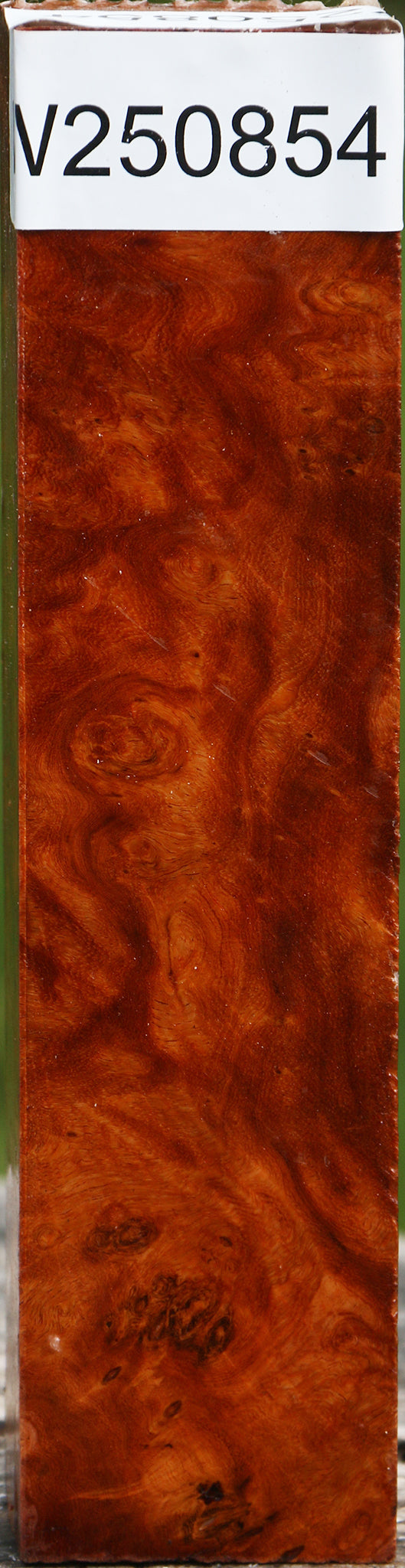 Hopea Stone Burl Turning Blank