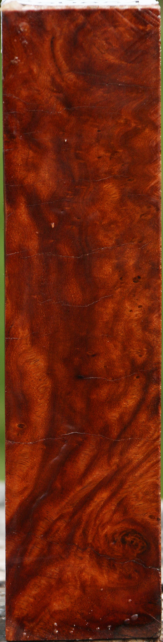Hopea Stone Burl Turning Blank