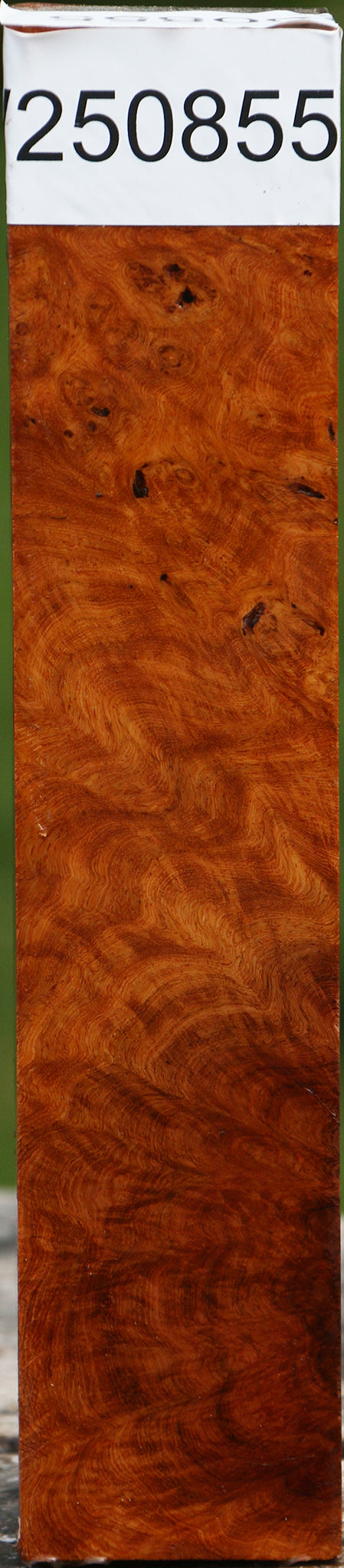 Hopea Stone Burl Turning Square
