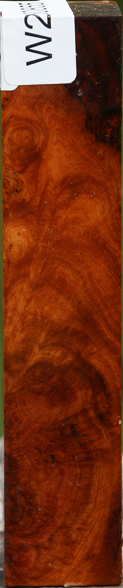 Hopea Stone Burl Turning Square