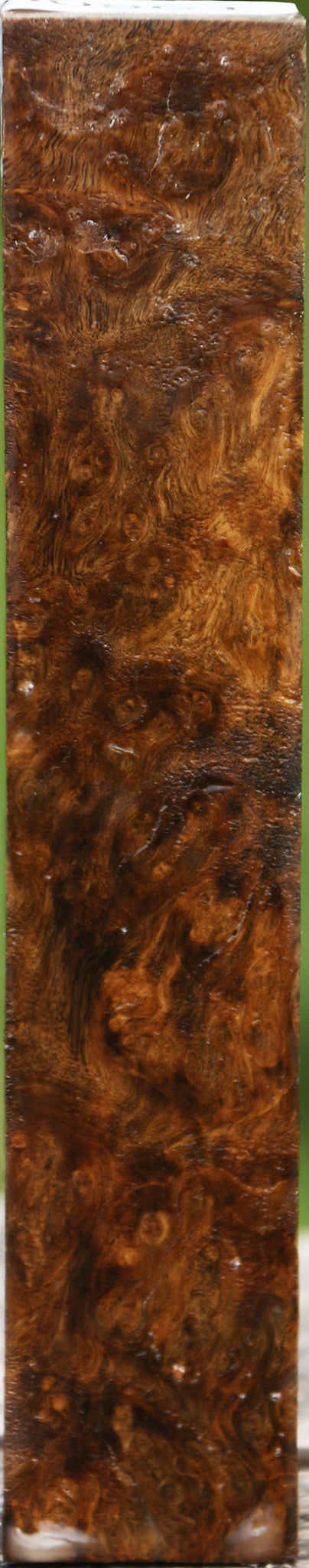 Almond Burl Turning Square