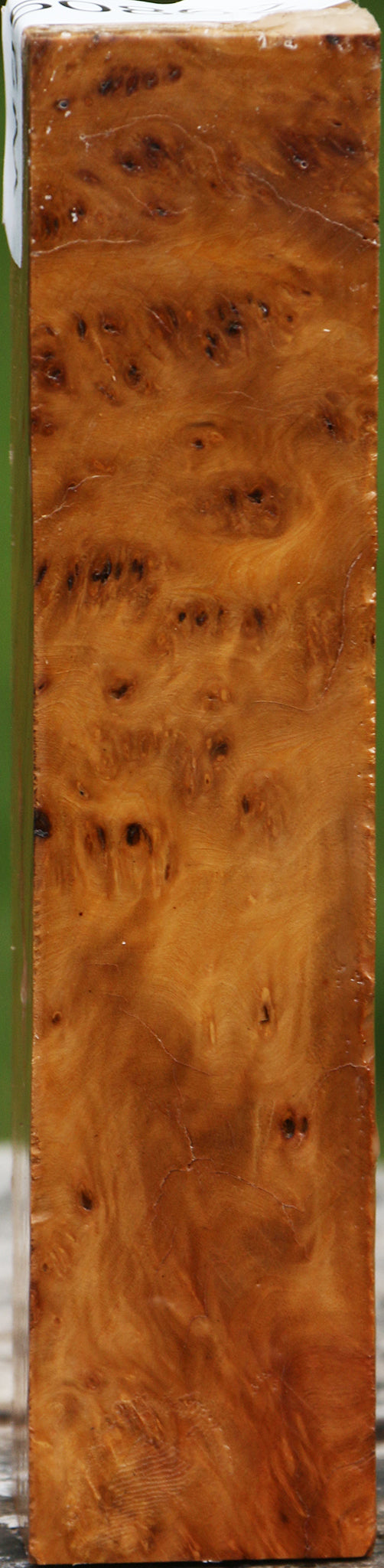 Hopea Stone Burl Turning Square