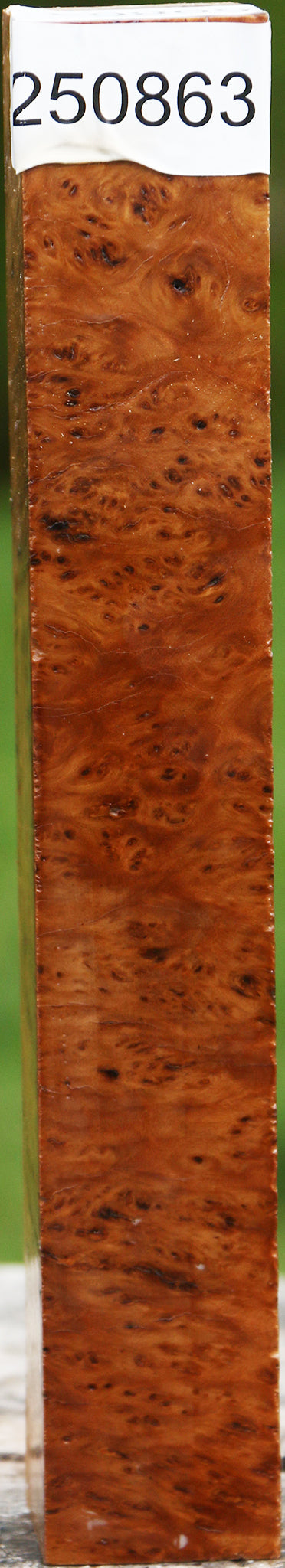 Hopea Stone Burl Turning Square