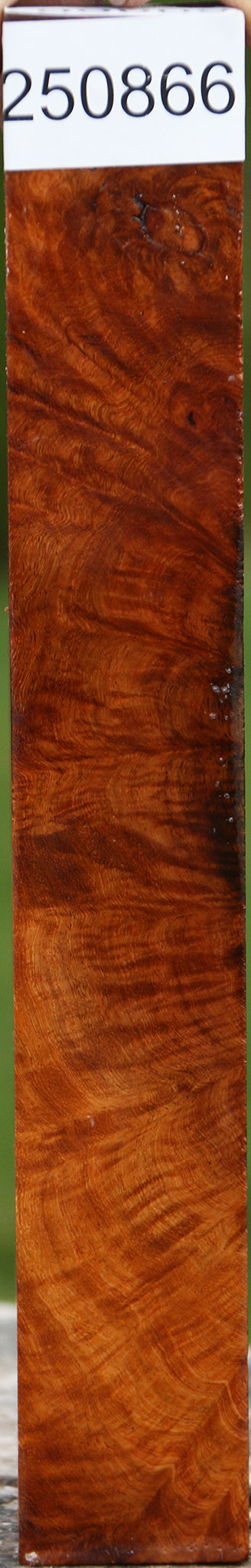 Asian Iron Burl Turning Square