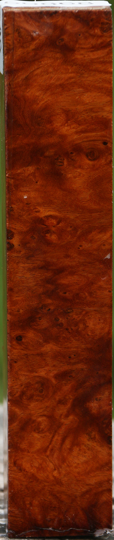 Asian Iron Burl Turning Square