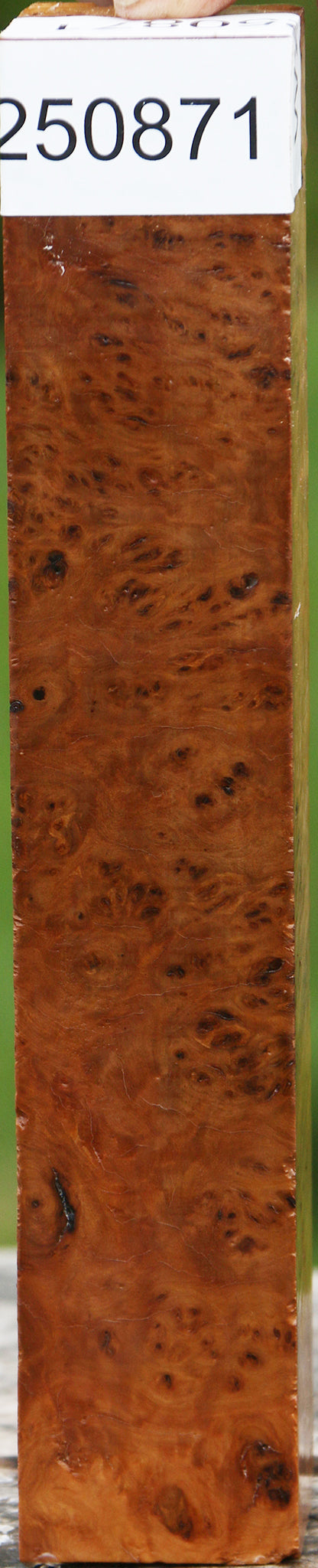Hopea Stone Burl Turning Square