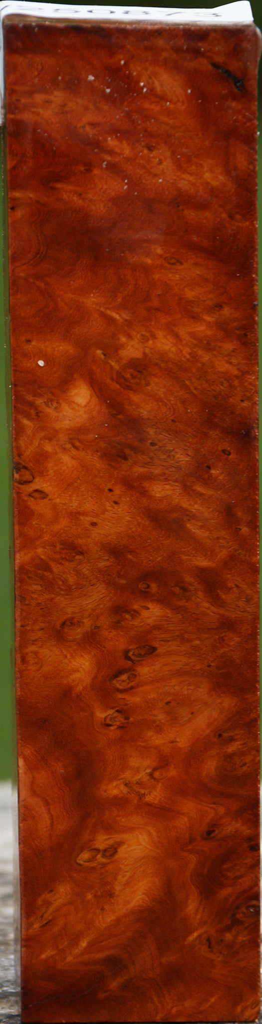 Asian Iron Burl Turning Blank