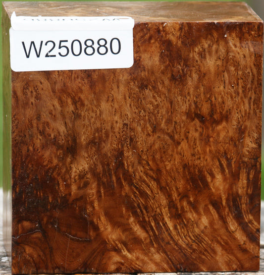 Asian Satinwood Burl Bowl Blank