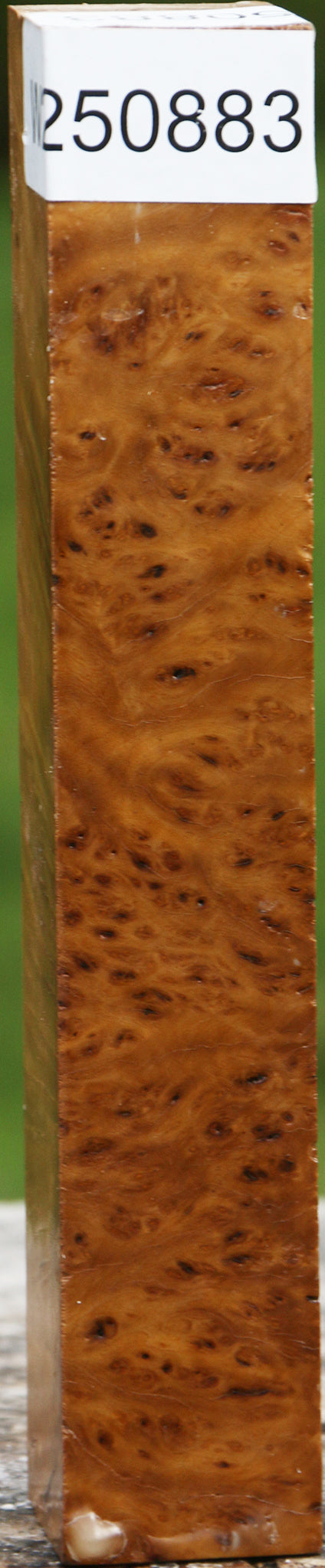 Hopea Stone Burl Turning Square