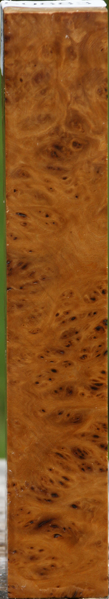 Hopea Stone Burl Turning Square