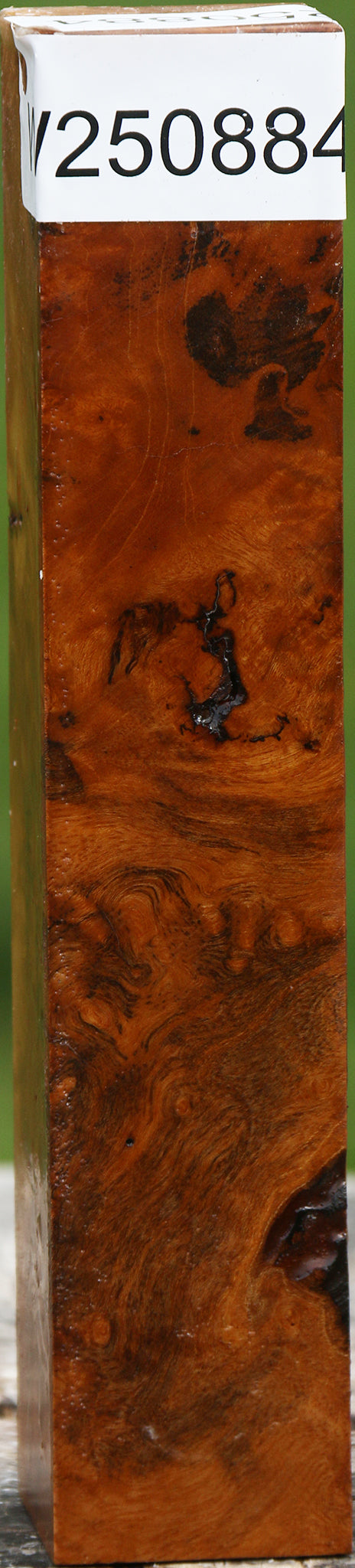 Almond Burl Turning Square