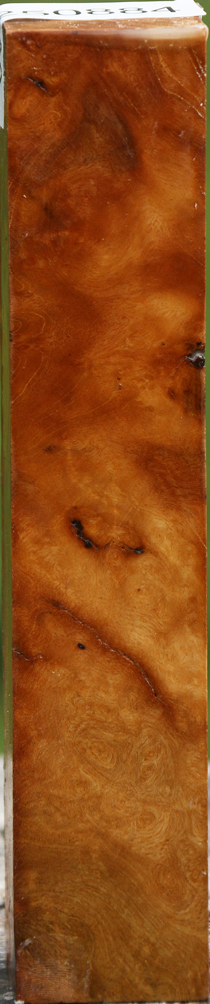 Almond Burl Turning Square