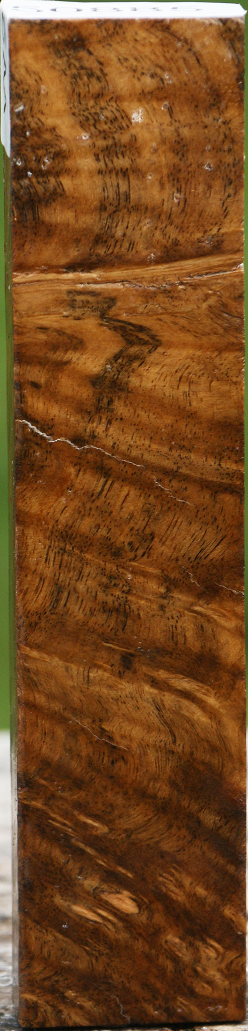 Almond Burl Turning Blank