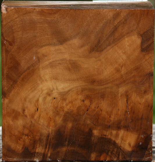 Almond Burl Bowl Blank