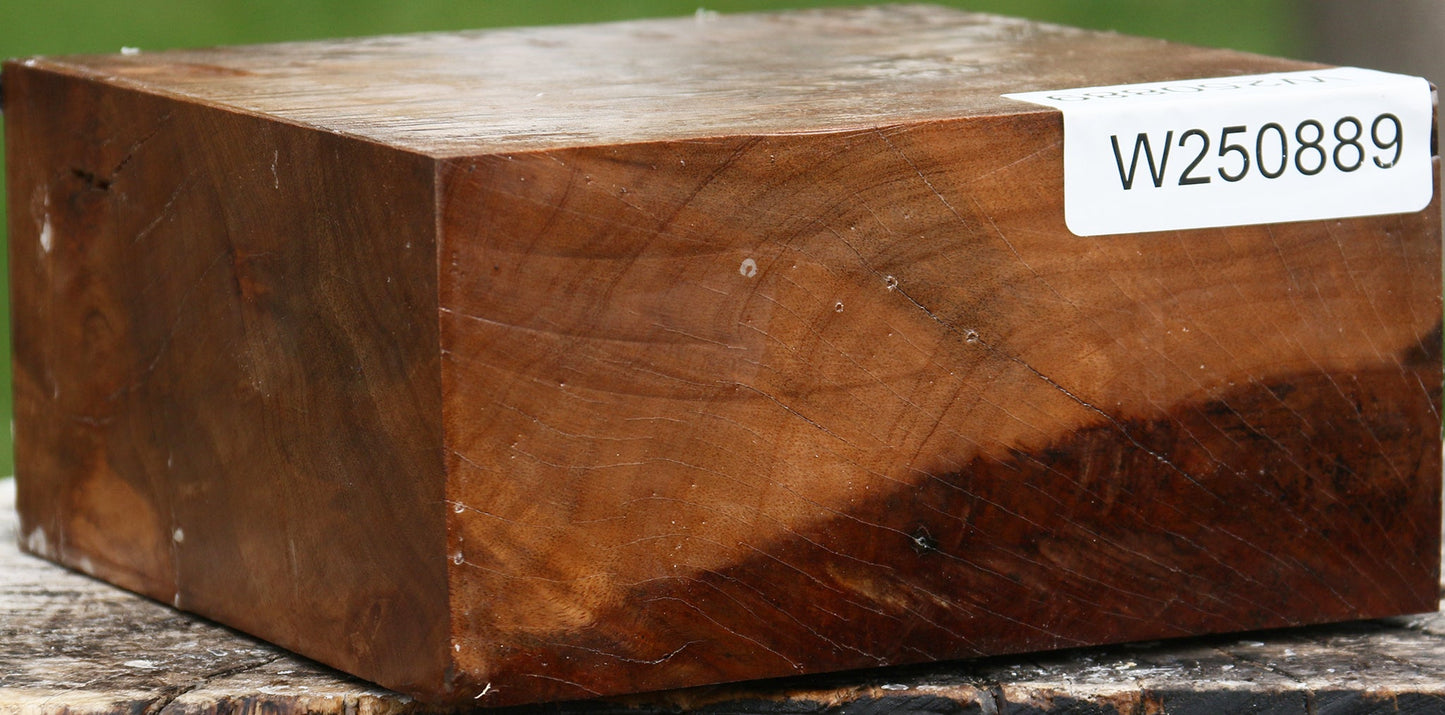 Almond Burl Bowl Blank