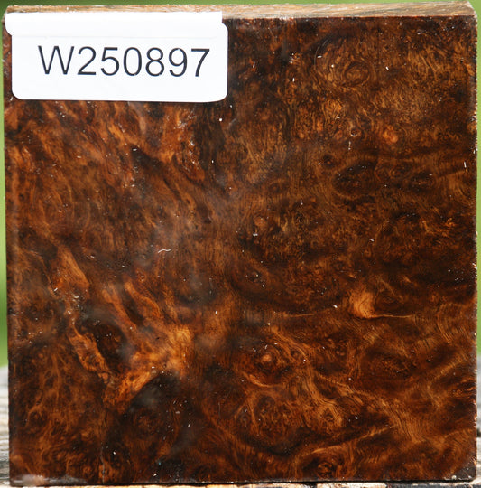 Rustic Almond Burl Bowl Blank