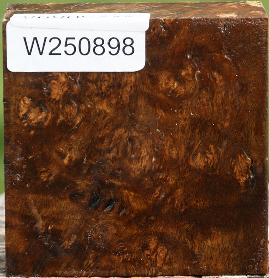 Rustic Almond Burl Bowl Blank
