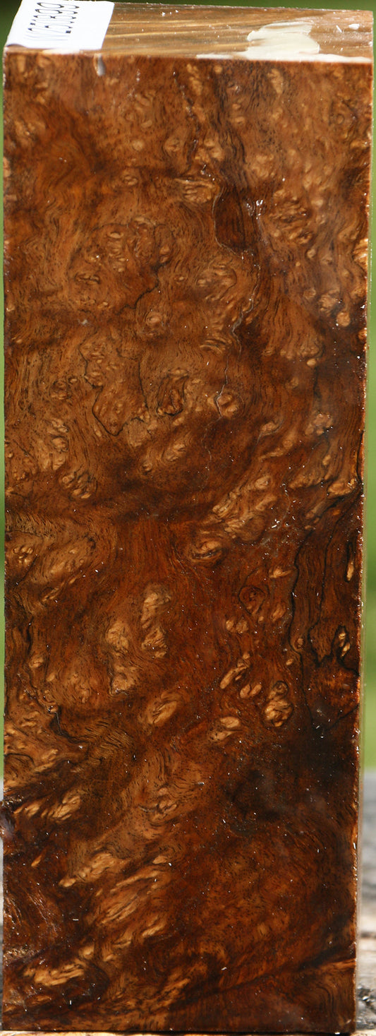 Almond Burl Turning Square