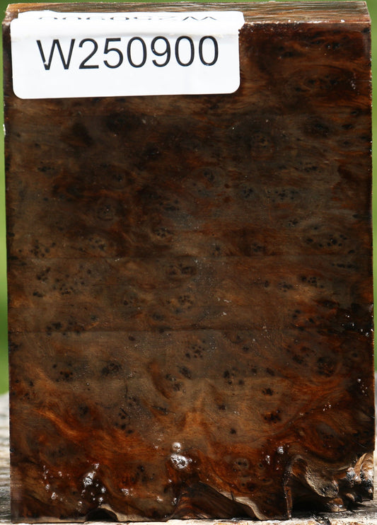 Almond Burl Turning Blank