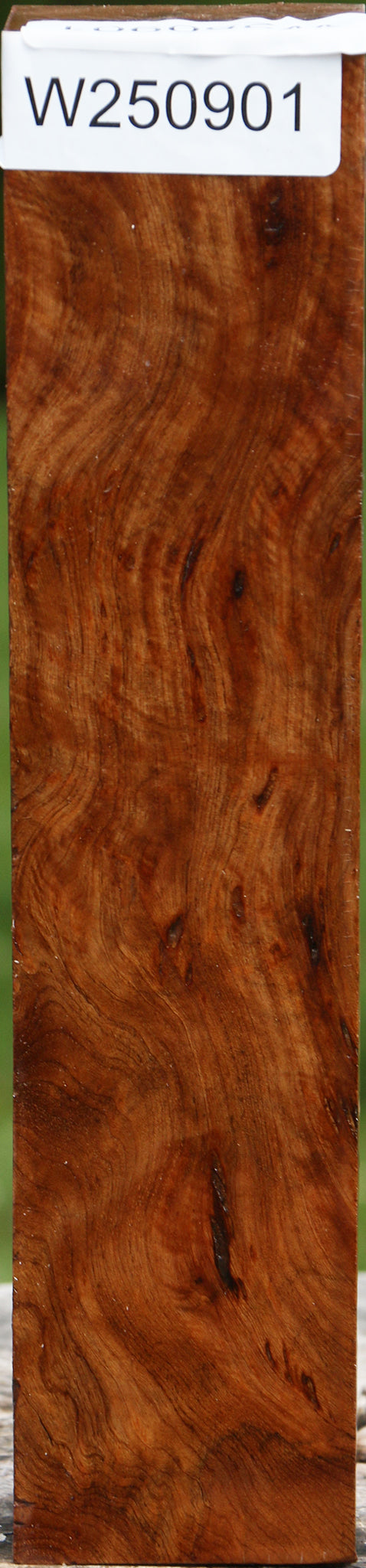 Rustic Asian Satinwood Turning Blank