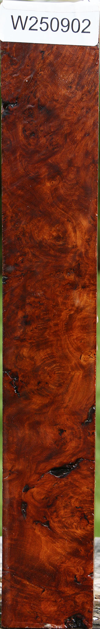 Rustic Asian Iron Burl Turning Blank