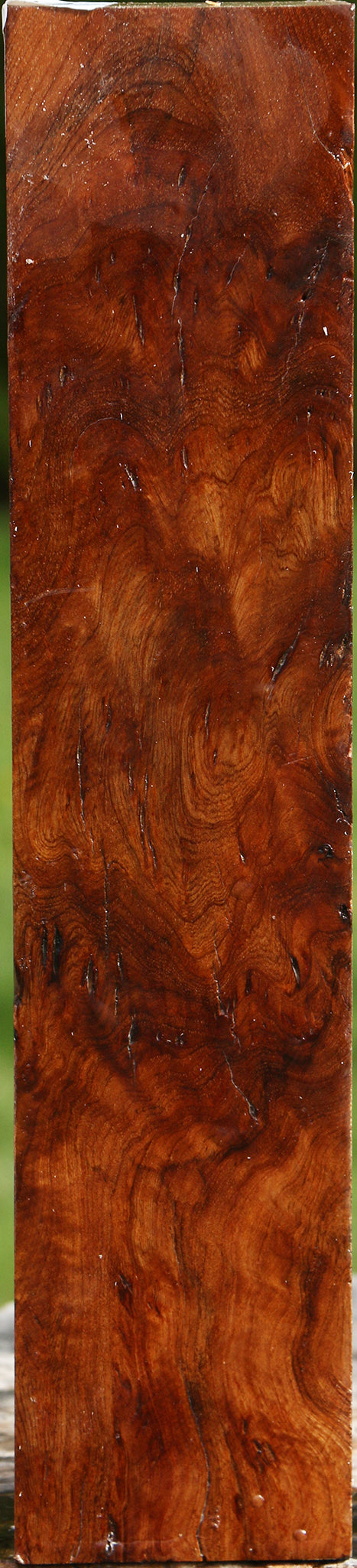 Rustic Asian Satinwood Burl Turning Square