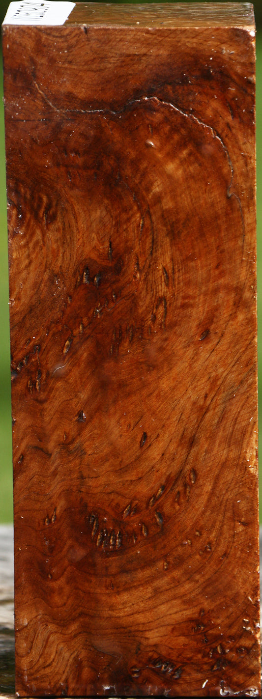 Rustic Asian Satinwood Burl Turning Square