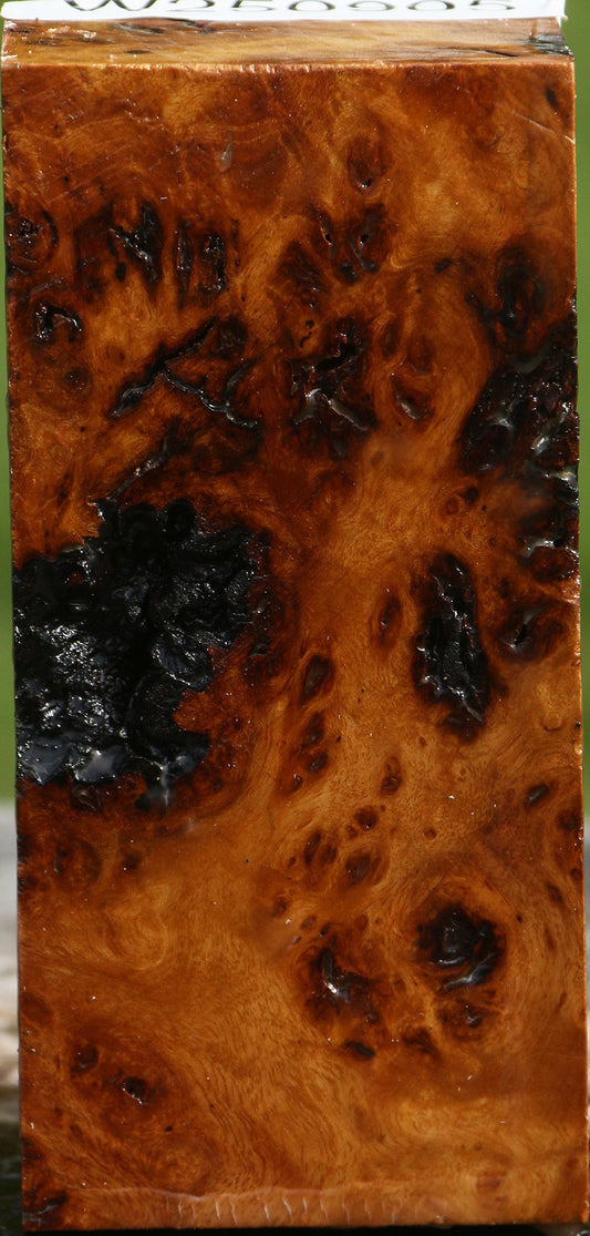 Rustic Almond Burl Turning Square