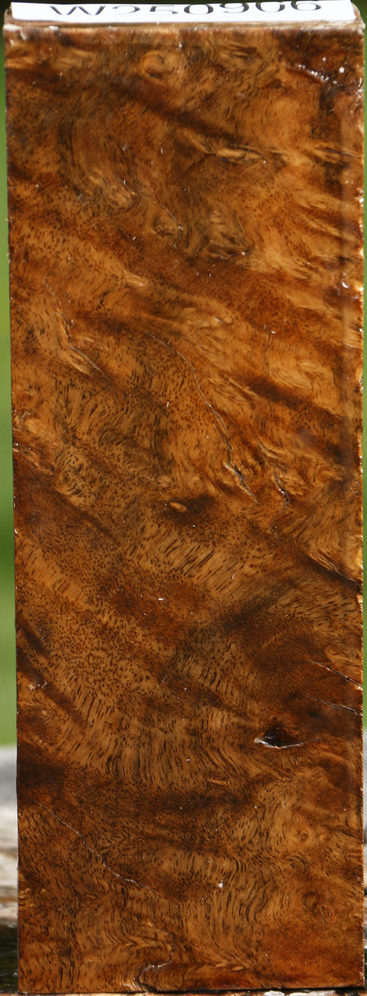 Rustic Almond Burl Turning Blank