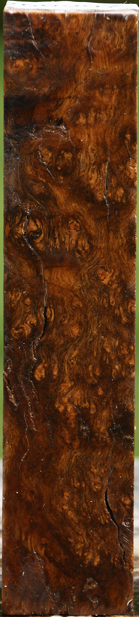 Almond Burl Turning Square