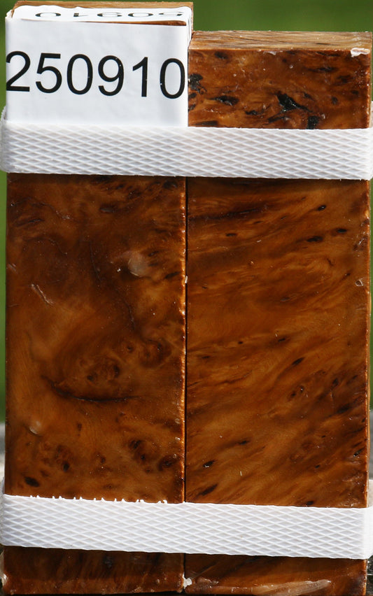 Hopea Stone Burl Turning Square 2 Pack