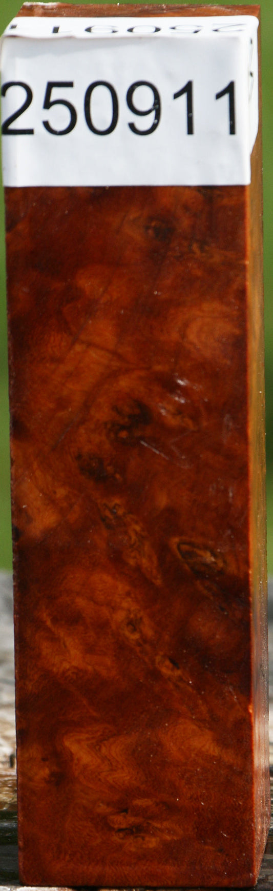 Asian Iron Burl Turning Square