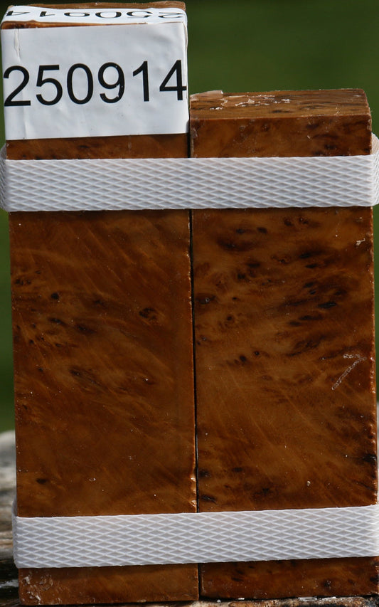 Hopea Stone Burl Turning Square 2 Pack