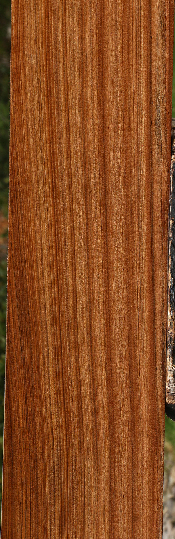 Figured Quartersawn Amazique Lumber