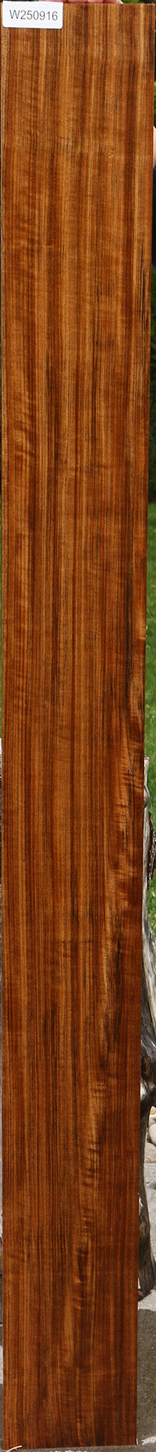 Figured Quartersawn Amazique Lumber