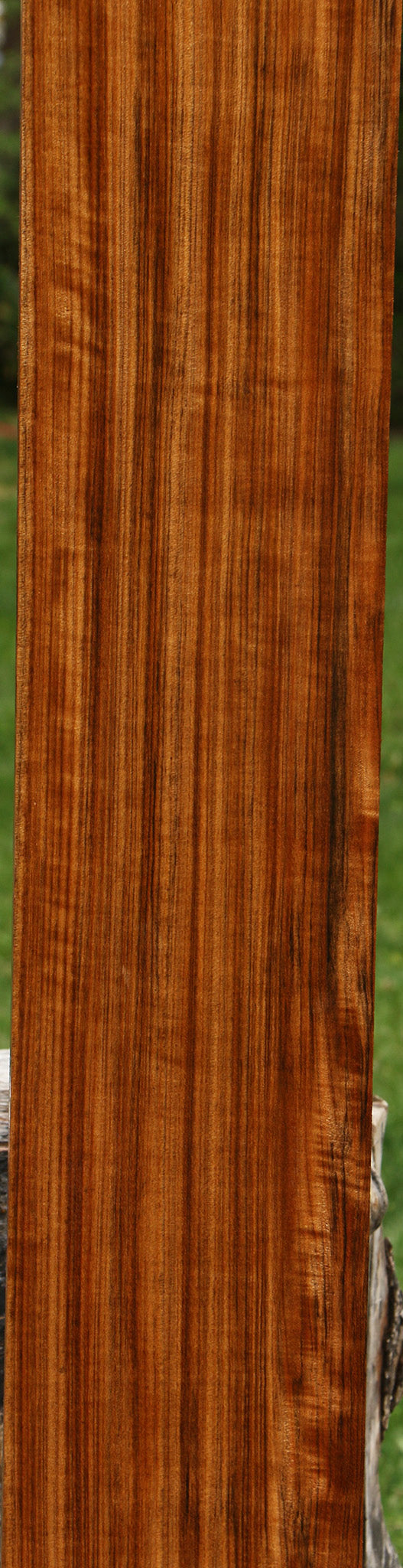 Figured Quartersawn Amazique Lumber