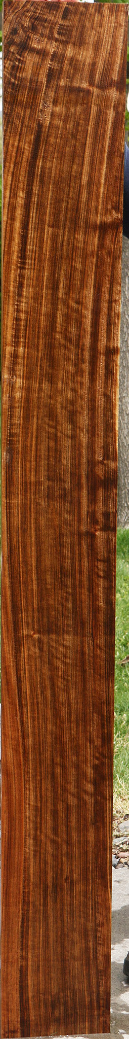Extra Fancy Quartersawn Amazique Lumber