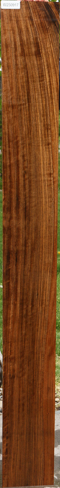 Extra Fancy Quartersawn Amazique Lumber