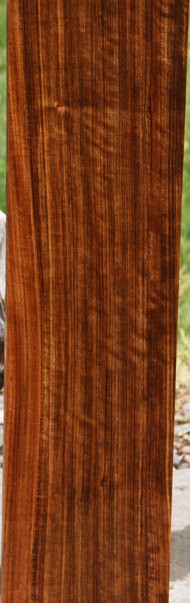 Extra Fancy Quartersawn Amazique Lumber