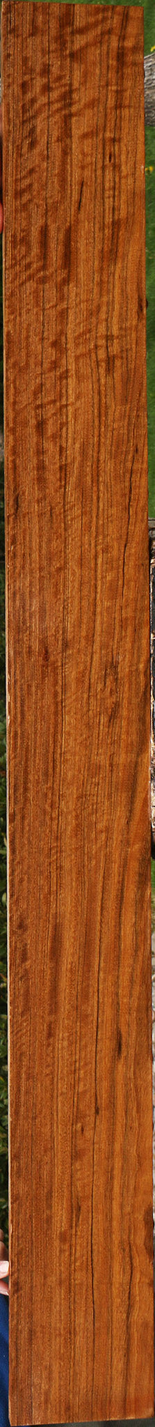 Extra Fancy Amazique Lumber