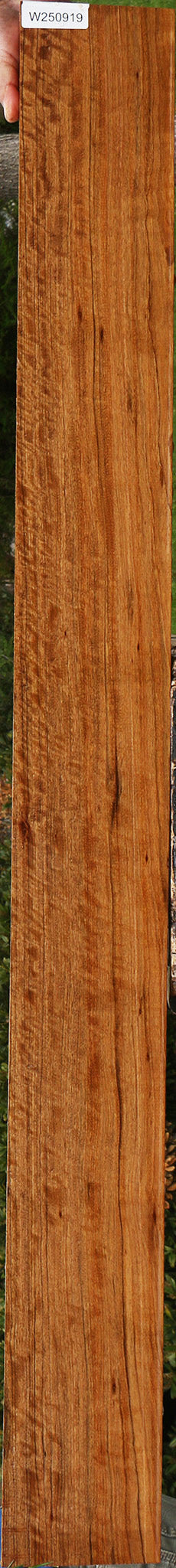 Extra Fancy Amazique Lumber
