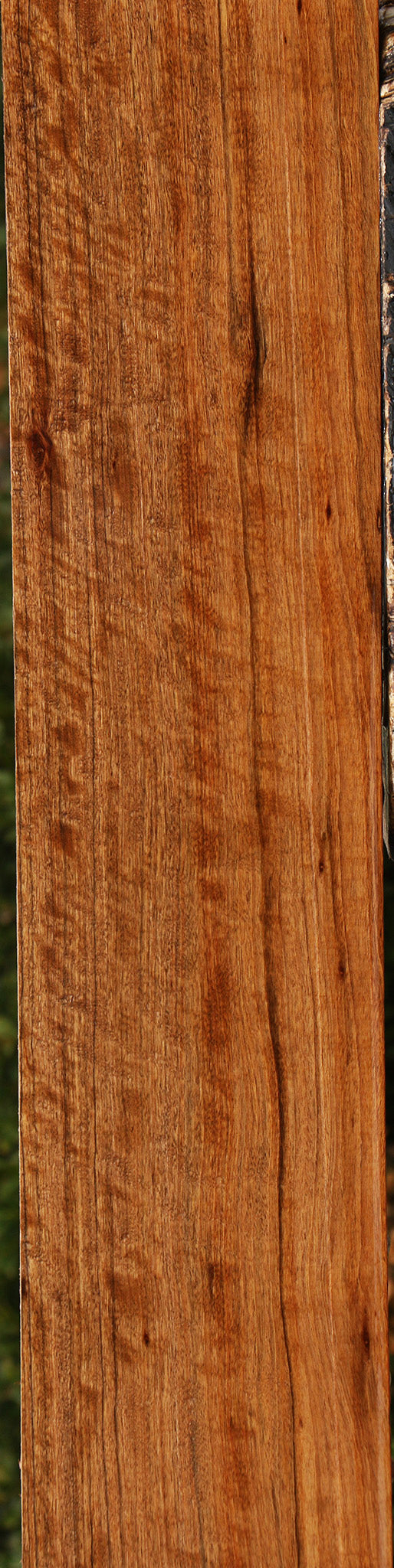 Extra Fancy Amazique Lumber