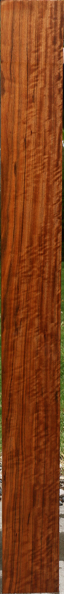 Extra Fancy Amazique Lumber