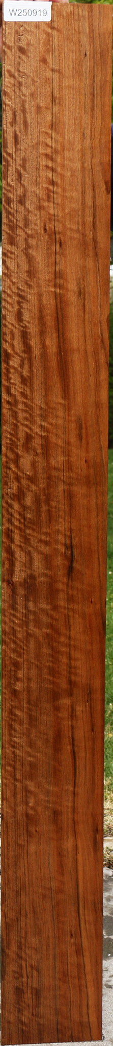 Extra Fancy Amazique Lumber